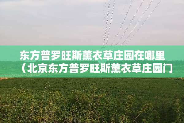 东方普罗旺斯薰衣草庄园在哪里（北京东方普罗旺斯薰衣草庄园门票）