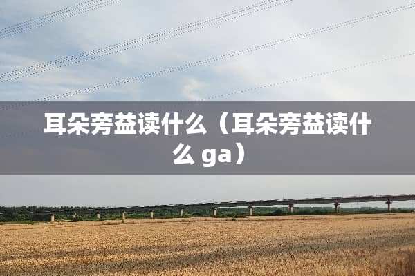 耳朵旁益读什么（耳朵旁益读什么 ga）