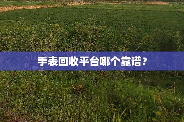 手表回收平台哪个靠谱？