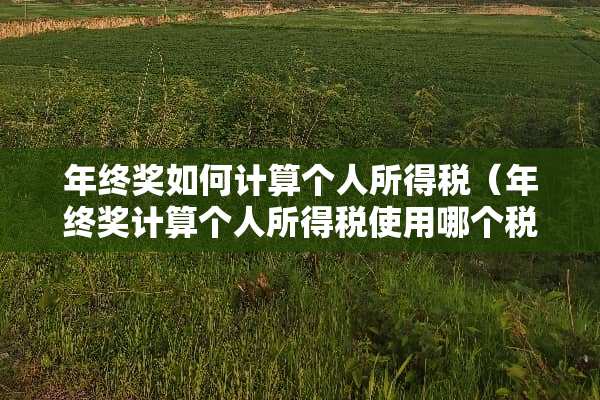 年终奖如何计算个人所得税（年终奖计算个人所得税使用哪个税率表）