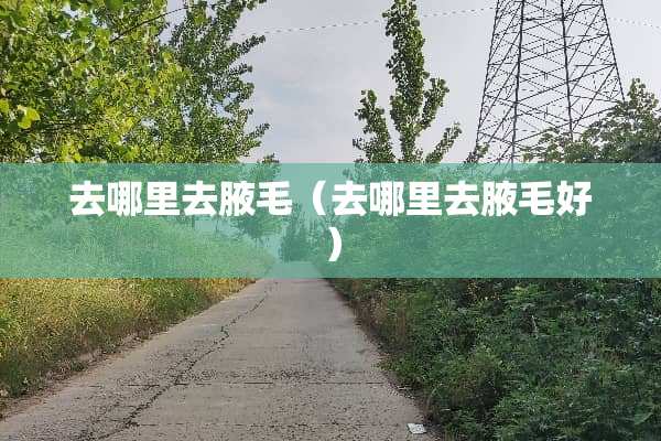 去哪里去腋毛（去哪里去腋毛好）