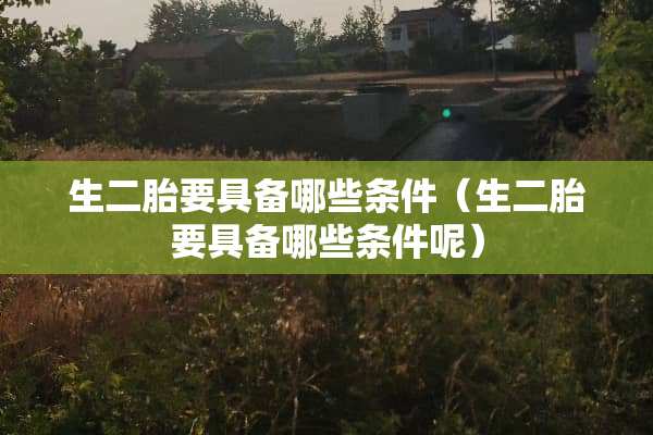 生二胎要具备哪些条件（生二胎要具备哪些条件呢）
