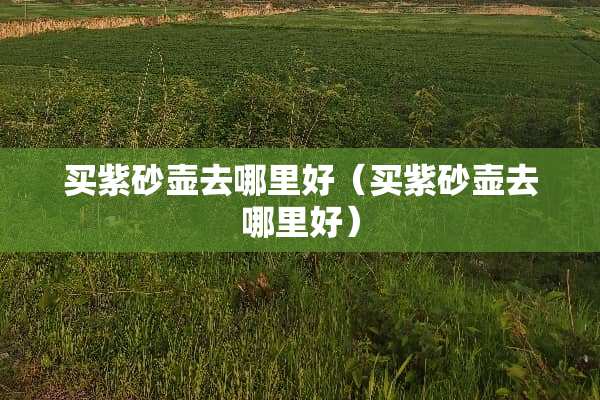 买紫砂壶去哪里好（买紫砂壶去哪里好）