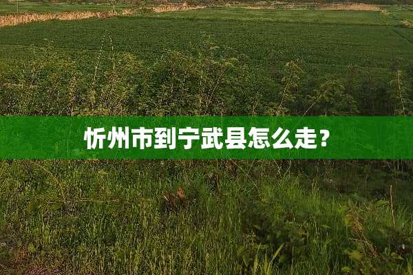 忻州市到宁武县怎么走？