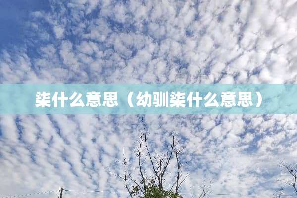柒什么意思（幼驯柒什么意思）