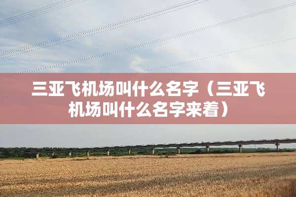三亚飞机场叫什么名字（三亚飞机场叫什么名字来着）