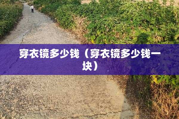 穿衣镜多少钱（穿衣镜多少钱一块）