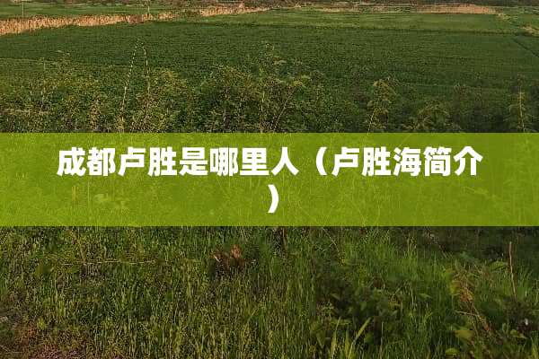 成都卢胜是哪里人（卢胜海简介）