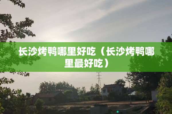 长沙烤鸭哪里好吃（长沙烤鸭哪里最好吃）