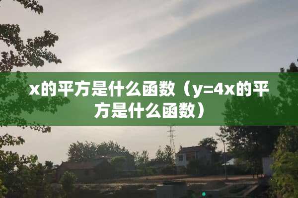 x的平方是什么函数（y=4x的平方是什么函数）