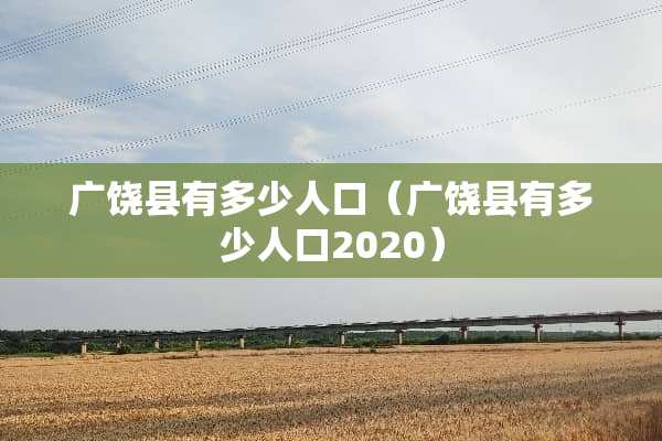 广饶县有多少人口（广饶县有多少人口2020）