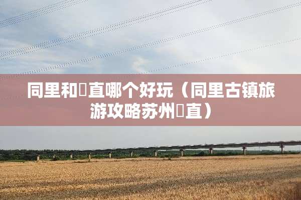 同里和甪直哪个好玩（同里古镇旅游攻略苏州甪直）