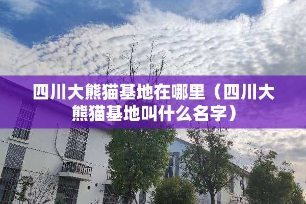 四川大熊猫基地在哪里（四川大熊猫基地叫什么名字）