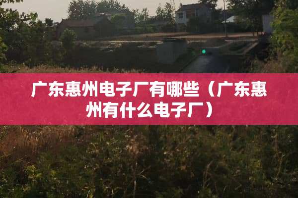 广东惠州电子厂有哪些（广东惠州有什么电子厂）