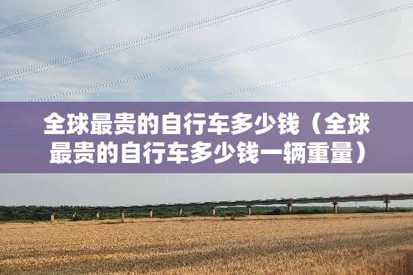 全球最贵的自行车多少钱（全球最贵的自行车多少钱一辆重量）