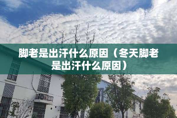 脚老是出汗什么原因（冬天脚老是出汗什么原因）