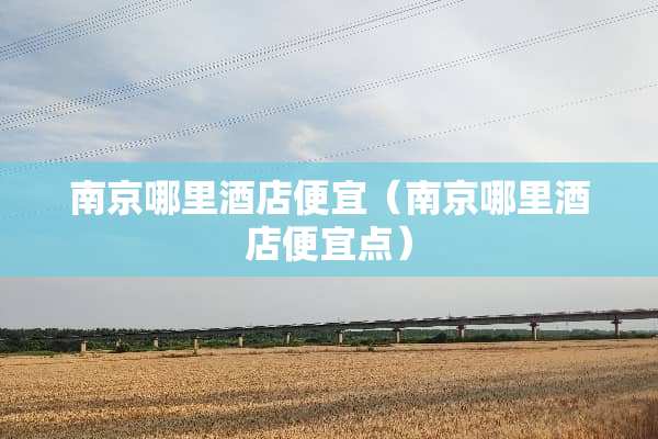 南京哪里酒店便宜（南京哪里酒店便宜点）