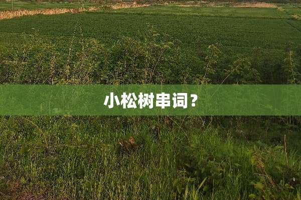 小松树串词？