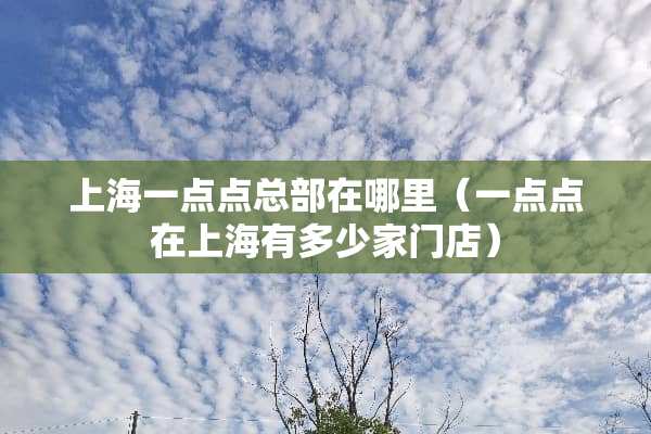 上海一点点总部在哪里（一点点在上海有多少家门店）