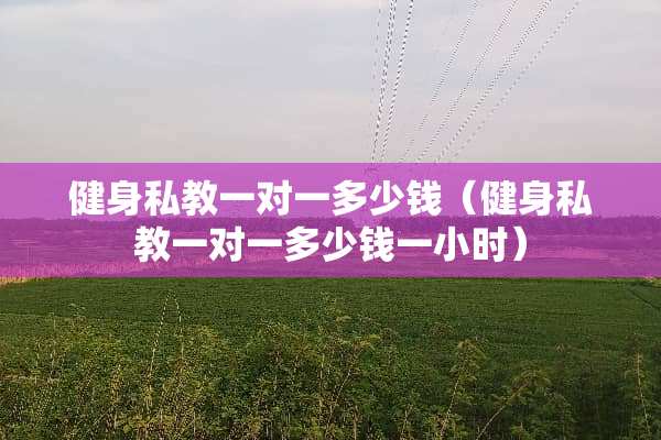 健身私教一对一多少钱（健身私教一对一多少钱一小时）
