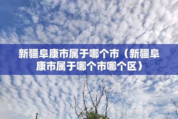 新疆阜康市属于哪个市（新疆阜康市属于哪个市哪个区）