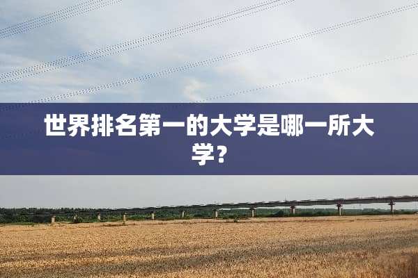 世界排名第一的大学是哪一所大学？