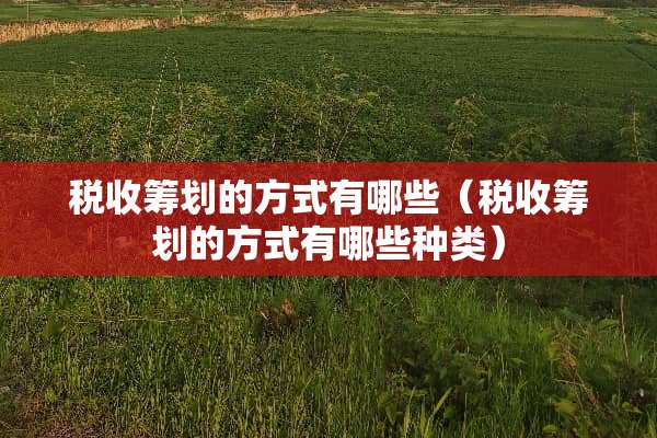 税收筹划的方式有哪些（税收筹划的方式有哪些种类）