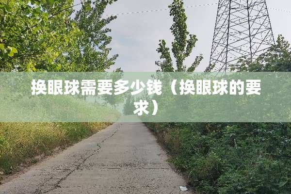 换眼球需要多少钱（换眼球的要求）