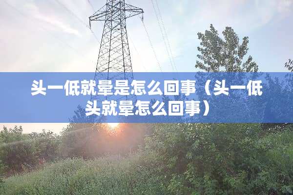 头一低就晕是怎么回事（头一低头就晕怎么回事）