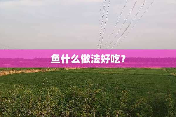 鱼什么做法好吃？