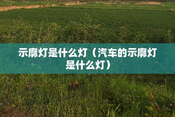 示廓灯是什么灯（汽车的示廓灯是什么灯）