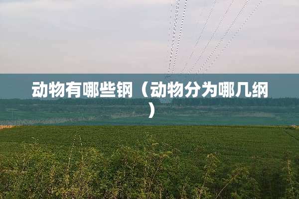 动物有哪些钢（动物分为哪几纲）
