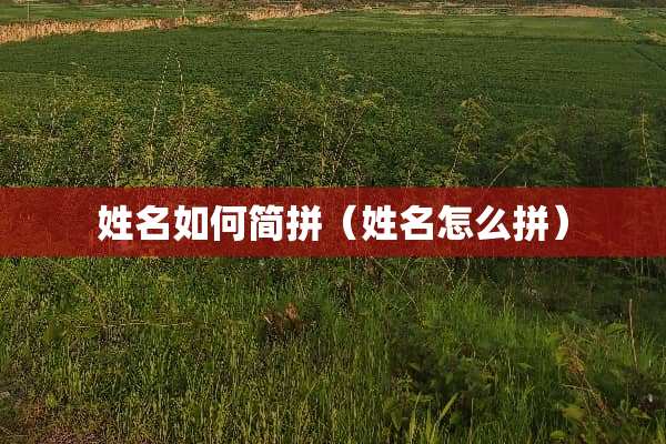 姓名如何简拼（姓名怎么拼）