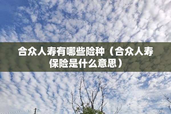 合众人寿有哪些险种（合众人寿保险是什么意思）