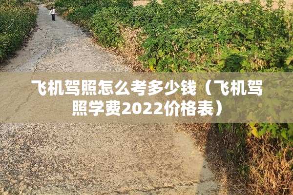 飞机驾照怎么考多少钱（飞机驾照学费2022价格表）