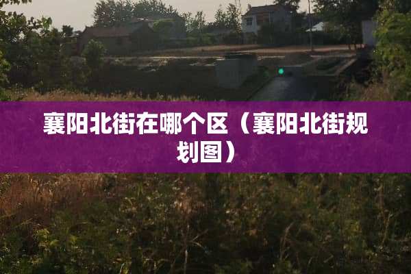 襄阳北街在哪个区（襄阳北街规划图）