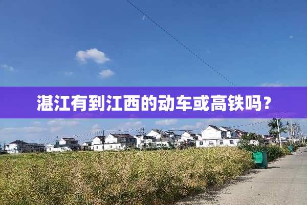 湛江有到江西的动车或高铁吗？