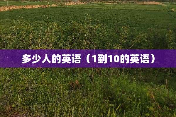 多少人的英语（1到10的英语）