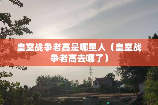 皇室战争老高是哪里人（皇室战争老高去哪了）