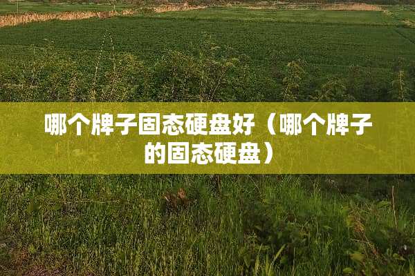 哪个牌子固态硬盘好（哪个牌子的固态硬盘）