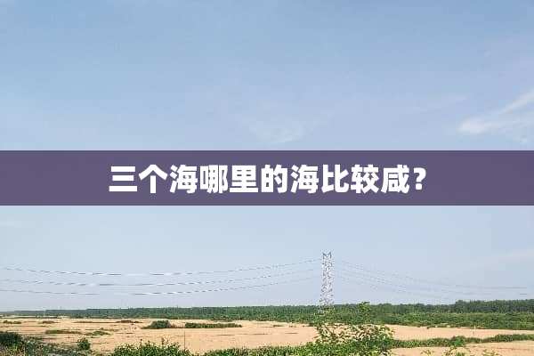 三个海哪里的海比较咸？