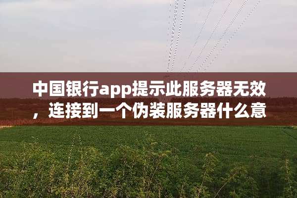中国银行app提示此服务器无效，连接到一个伪装服务器什么意思？