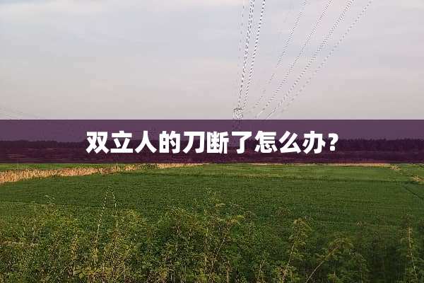 双立人的刀断了怎么办？