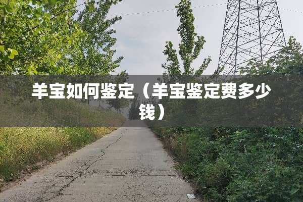 羊宝如何鉴定（羊宝鉴定费多少钱）