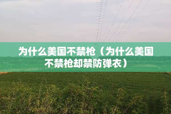 为什么美国不禁*（为什么美国不禁*却禁**衣）