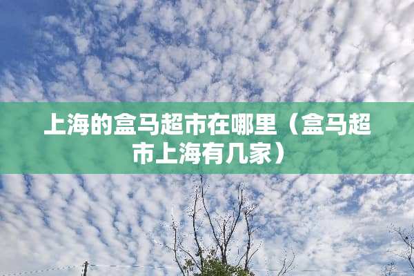 上海的盒马超市在哪里（盒马超市上海有几家）