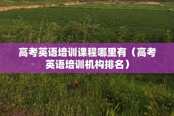 高考英语培训课程哪里有（高考英语培训机构排名）
