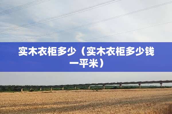 实木衣柜多少（实木衣柜多少钱一平米）