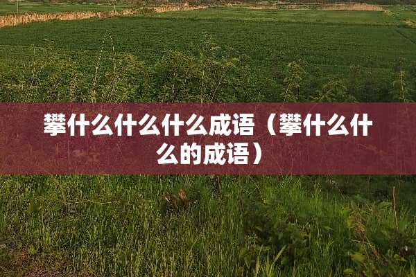 攀什么什么什么成语（攀什么什么的成语）
