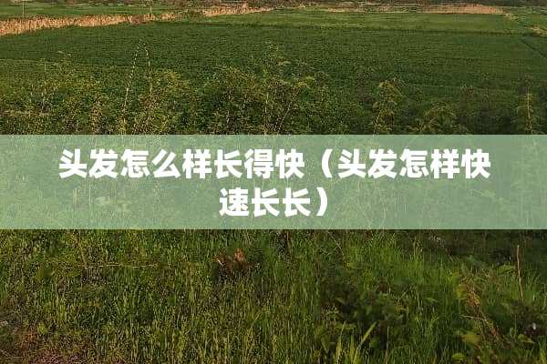 头发怎么样长得快（头发怎样快速长长）